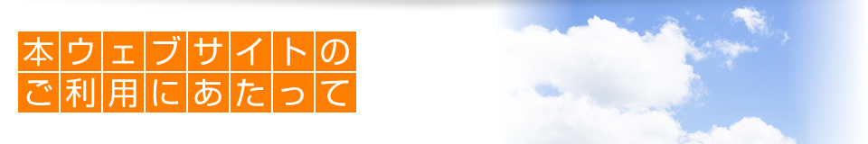 本ウェブサイトのご利用にあたって
